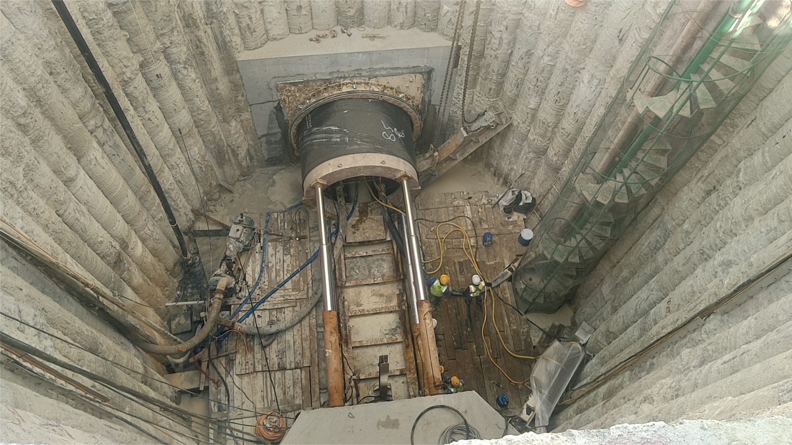 WhatsApp Image 2026-01-31 at 9.19.31 AM