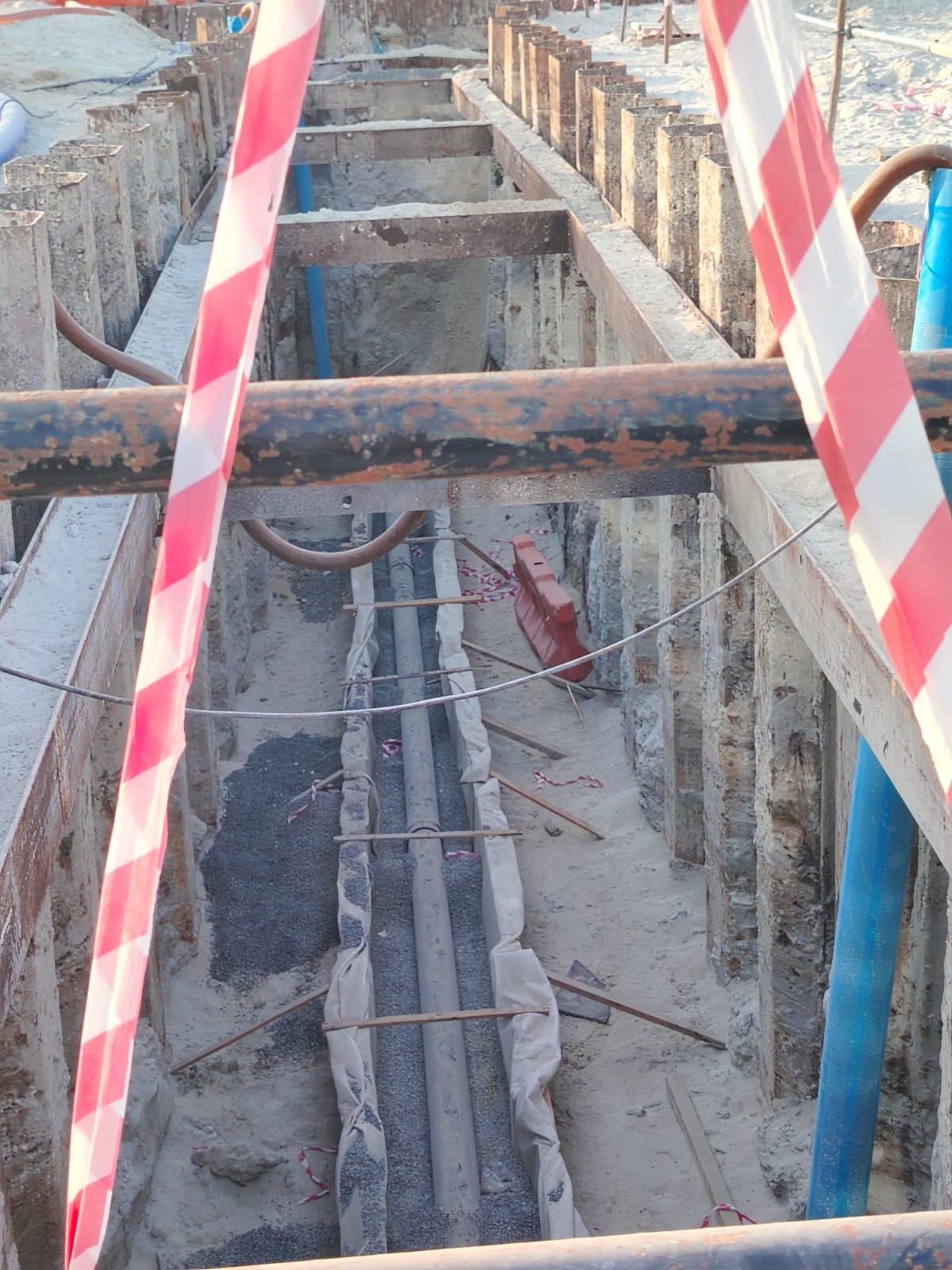 WhatsApp Image 2026-01-31 at 9.21.17 AM